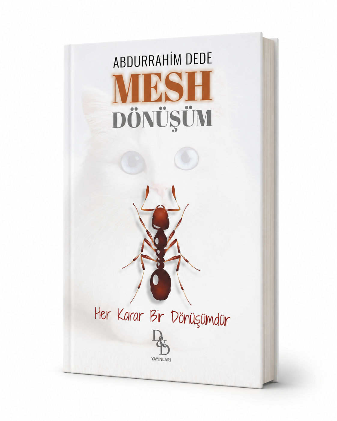 Mesh (Dönüşüm) – Türkçe Baskı - Görsel 2